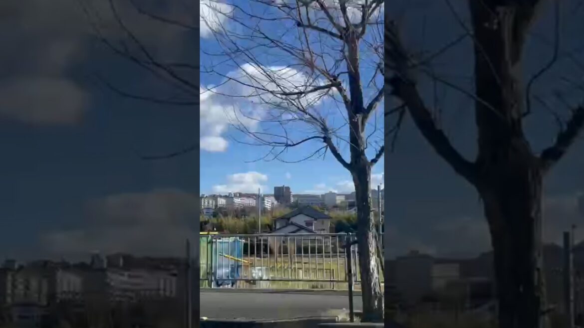 Kobe City #japan #kobe #shorts #alanwalker #travel #minivlog