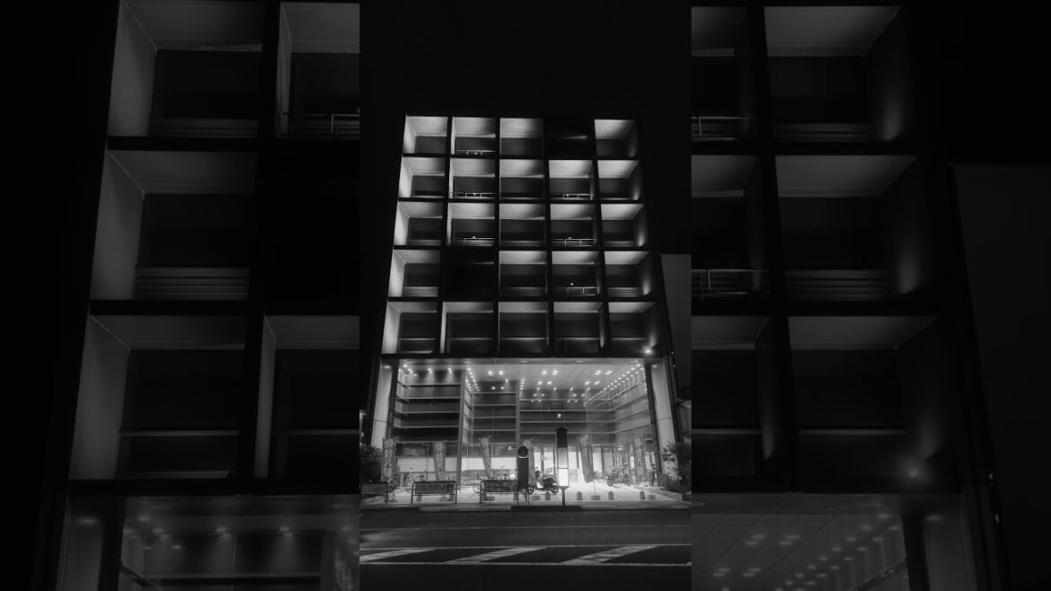 Local night walk #shorts #iphone14promax #blackmagiccamera  #monochrome #blackmist #sendai #miyagi