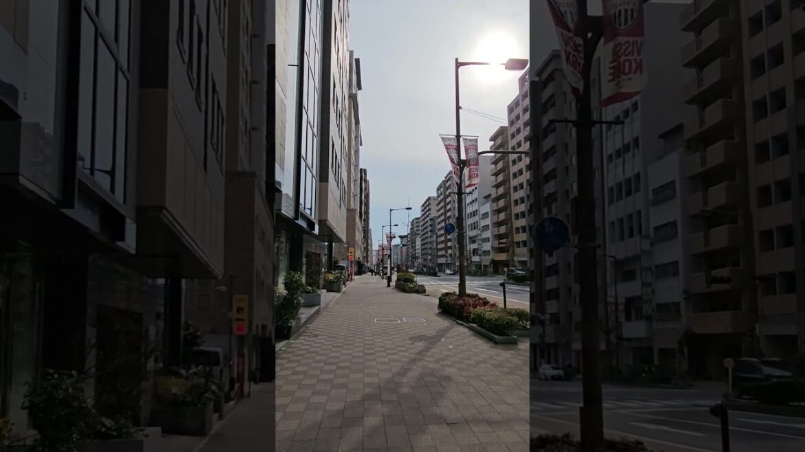 兵庫県 神戸市 • 神戸ポートタワーや神戸ハーバーランドなど、ベイエリアには美しい景色が広がっています。北野異人館街や南京町など、北野には異国情緒あふれる街並みが残っています。