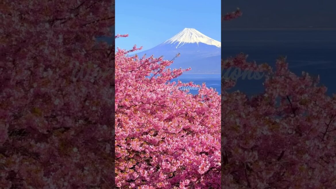 🌍 Places On Earth That Don't Feel Real in Japan 🇯🇵 🌍 #travel #japan nature #adventure