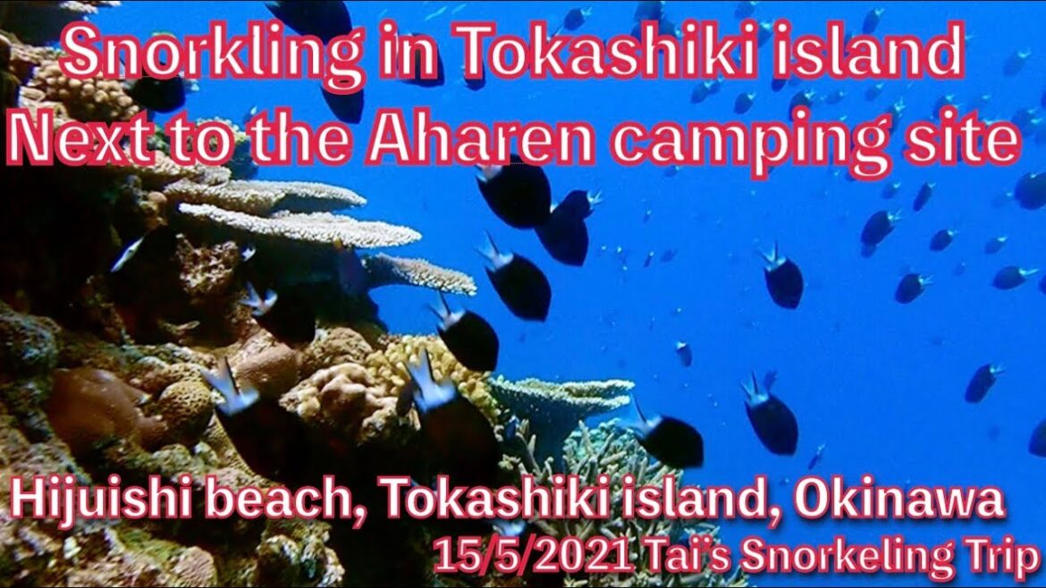 【#41 Tai’s Snorkeling Trip in Okinawa】Hijuishi beach next to Aharen camping site, Tokashiki island