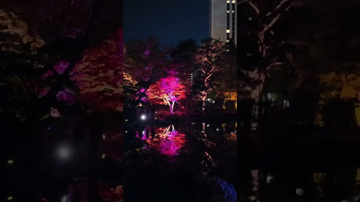 2025/10/25 札幌 中島公園紅葉ライトアップ 2024🇯🇵Sapporo Autumn  illumination 2024