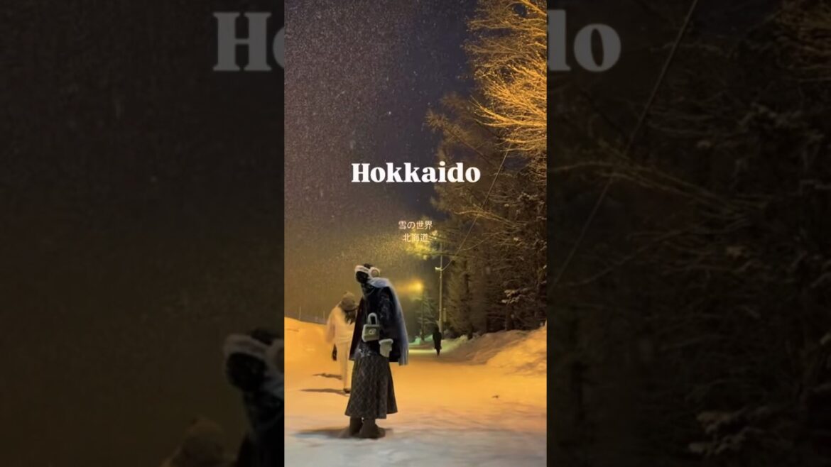Snow ❄️ Fall in Hokkaido 🇯🇵 Japan #japan #travel #vacation #snow