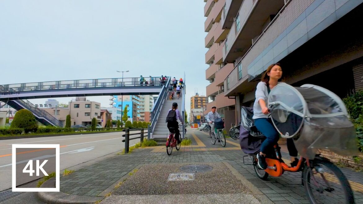 Early Morning Cycle Through Nagoya: A Refreshing Start to Your Day - Japan 4K Walking Tour[4K/60fps]