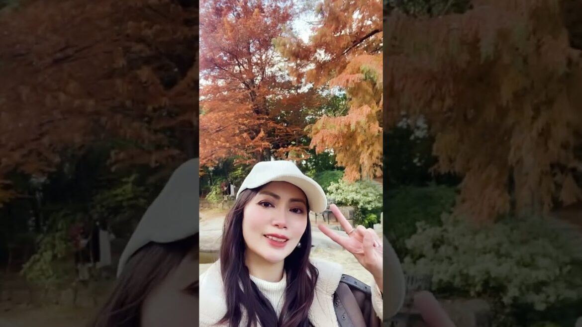 JAPAN AUTUMN🍁Nagoya Sakae will look like these soon! 🍁🍂#Nagoya #JapanAutumn