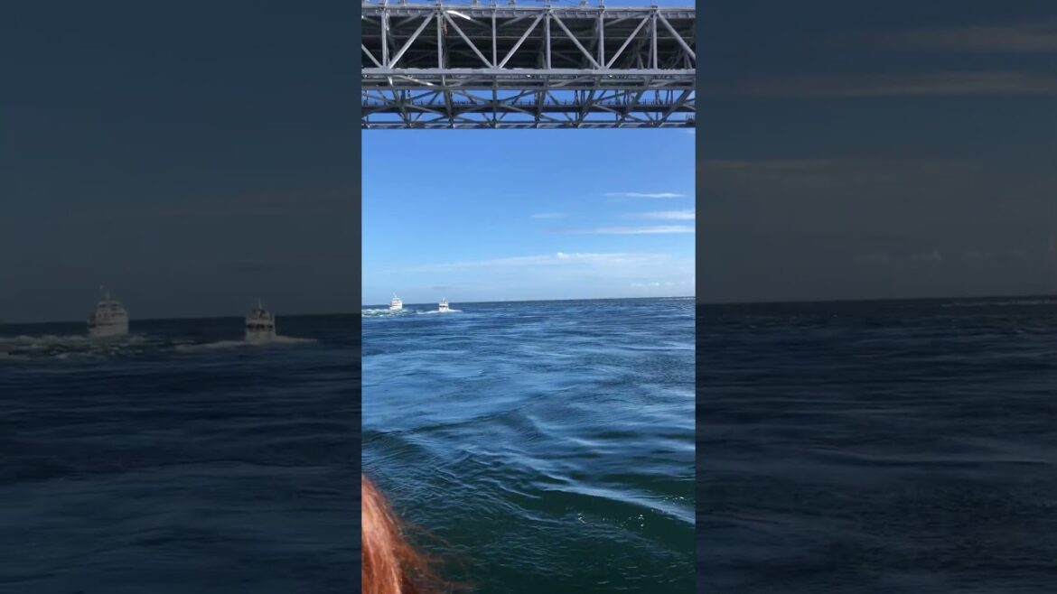 【Kobe】Must-See Tourist Attraction -Whirlpool Cruise 【Kobe】Must-See Tourist Attraction -Whirlpool Cruise