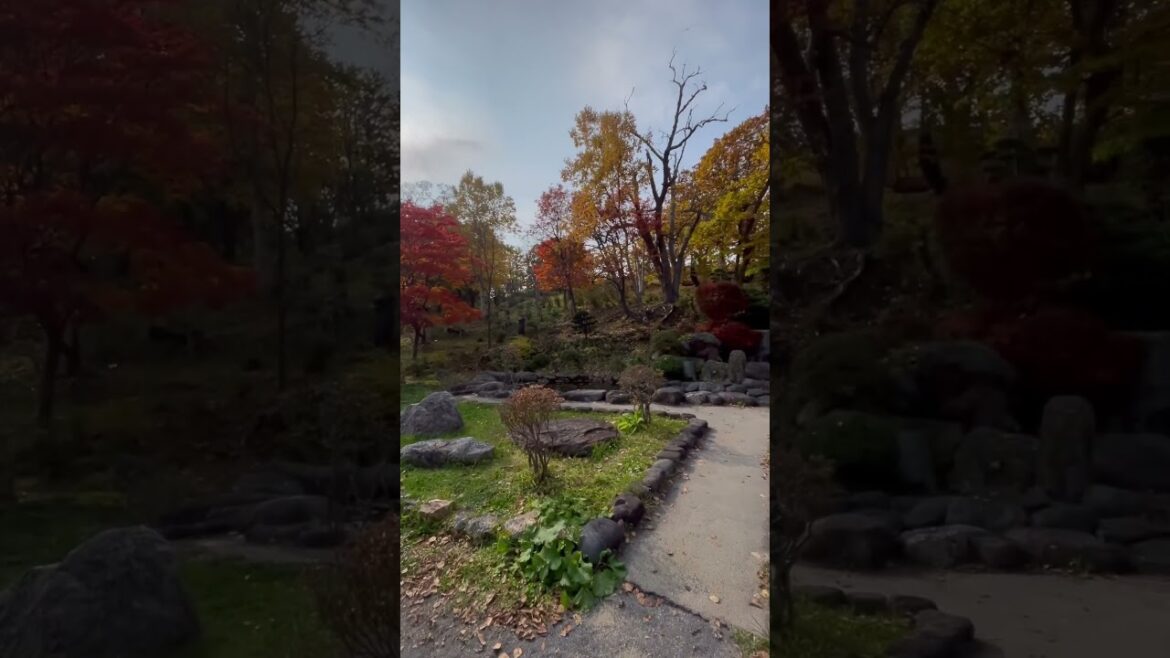 Otaru during Autumn #japan #park #nature #outdoors #autumn