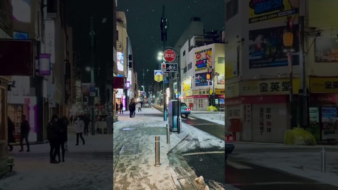 Sendai japan red light area in winter #music #song #rock #japan #monkey #asiantravel #travel