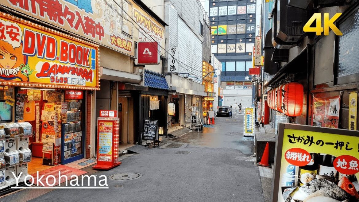 Afternoon Walk Around Yokohama Station | Exploring Japan’s Bustling Port City Afternoon Walk Around Yokohama Station | Exploring Japan’s Bustling Port City