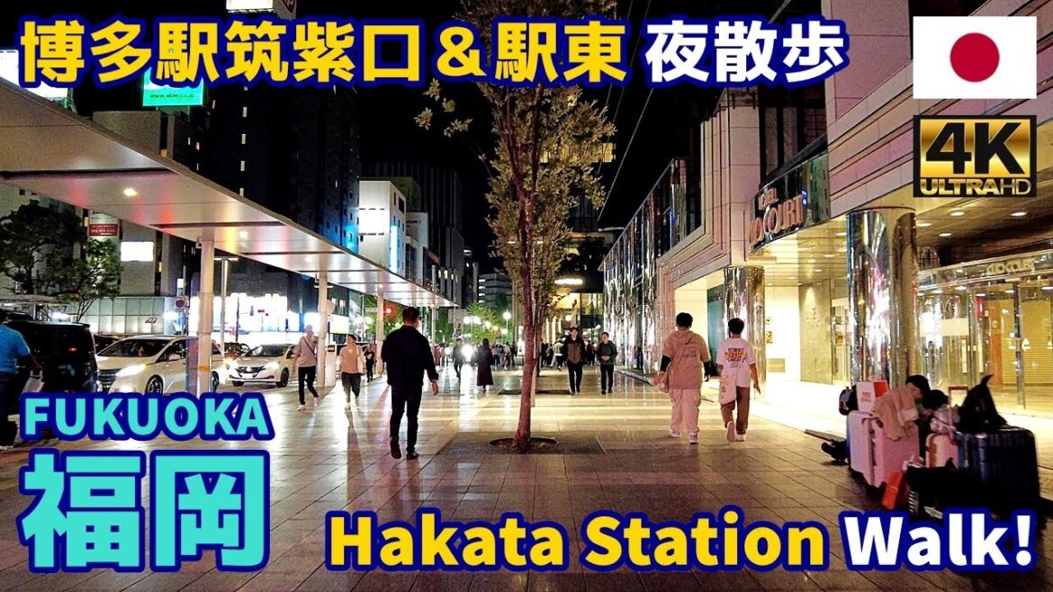 4K【Fukuoka Walking Tour/福岡博多】67 博多駅東&筑紫口2024秋|Hakata Station 2024 Autumn|Japan|Kyushu|九州|旅行|観光|街歩き 4K【Fukuoka Walking Tour/福岡博多】67 博多駅東&筑紫口2024秋|Hakata Station 2024 Autumn|Japan|Kyushu|九州|旅行|観光|街歩き
