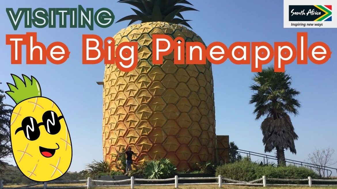 Biggest Pineapple Building in the World is in Bathurst | Tour | Dance House Music (Instrumental)