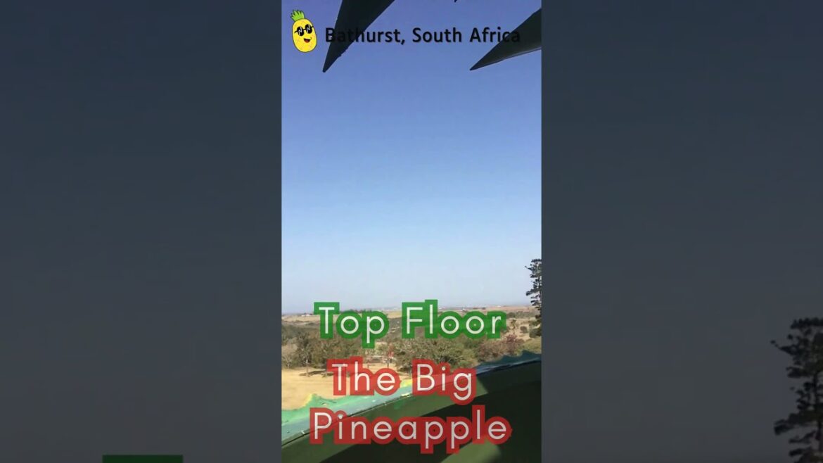 Top Floor on World Largest Pineapple Building in the World | Tour | Travel | Black Arm TV