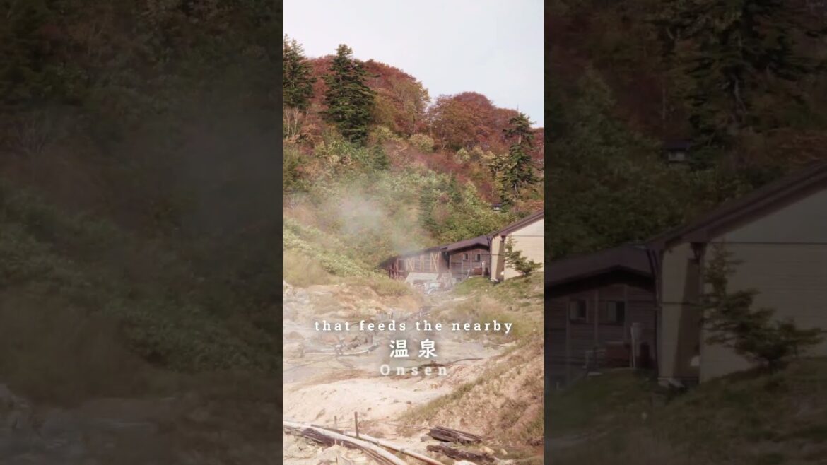 Discover Japan off the beaten path I Autumn foilage #japanesenature  #onsen