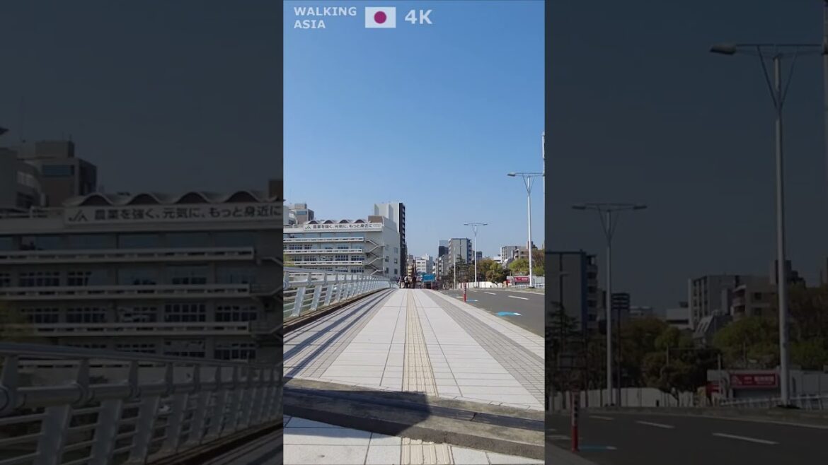 🇯🇵 Experience #Fukuoka in #Japan with us! #Shorts