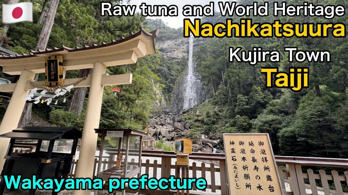 🇯🇵Sightseeing in Nachikatsuura and Taiji in Wakayama Prefecture / Town of tuna and whale 🇯🇵Sightseeing in Nachikatsuura and Taiji in Wakayama Prefecture / Town of tuna and whale