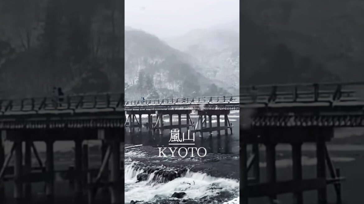 Kyoto ❄️ Snow Wonderland #japan #kyoto #travel #love #snow #snowfall