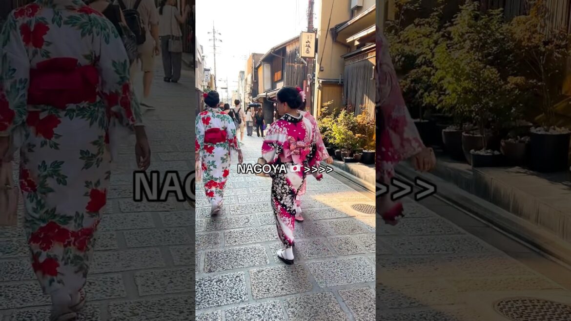 Nagoya Tipps! Japans viertgrößte Metropole ✈️ #japan #nagoya #kyoto #reiseblogger #reisetipps #fyp