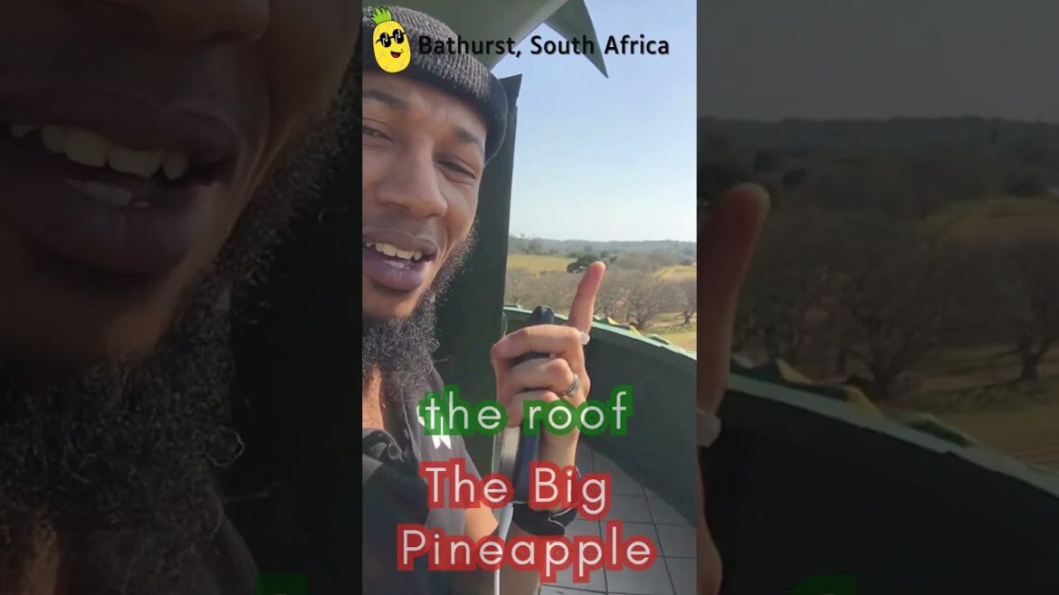 Roof Top World Biggest Pineapple Building in the World | Tour | South Africa | Black Arm TV
