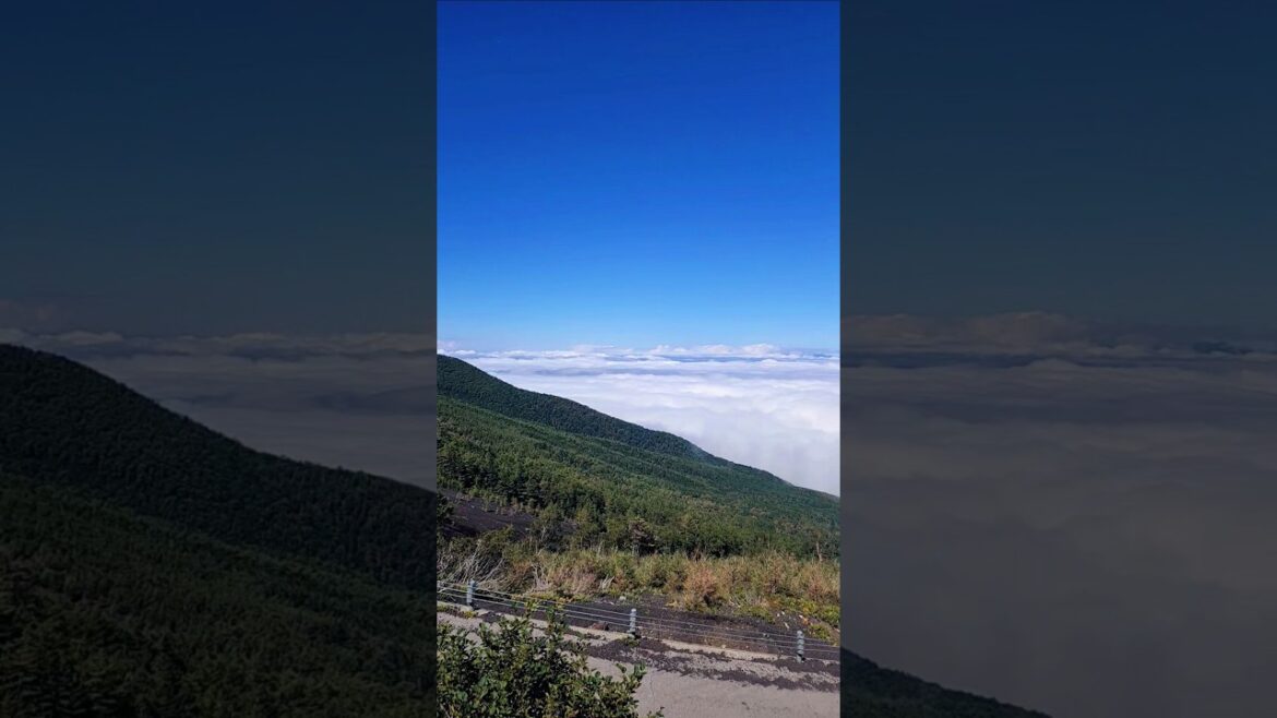 Sea of Clouds from Mt Fuji!! #japan #mtfuji #travel #tokyo