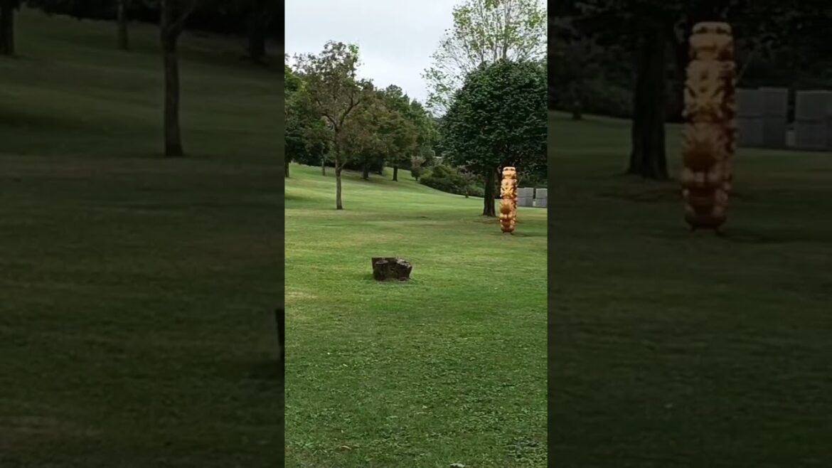 不思議な巨大輪(霧島アートの森) #kirihima #kagoshima #art #japan