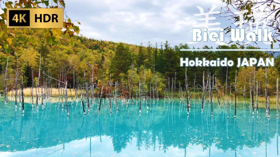 Short Trip around Blue Pond in Biei | Hokkaido | Japan | 4K HDR