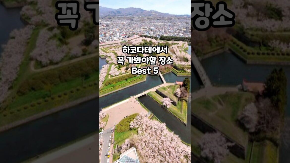 🇯🇵 하코다테에서 꼭 가봐야하는 여행지 Best 5
