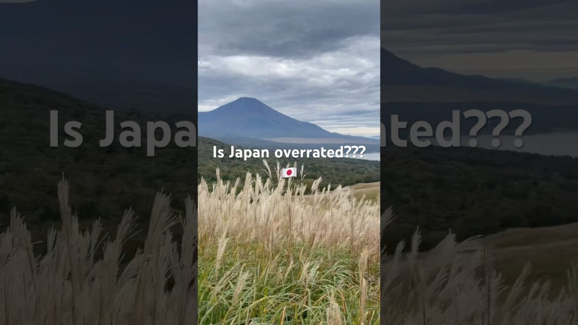 Speed Run 12 Hour Layover!! Mt. Fuji Hakone and Odawara #travel #japan #mtfuji #roadtrip