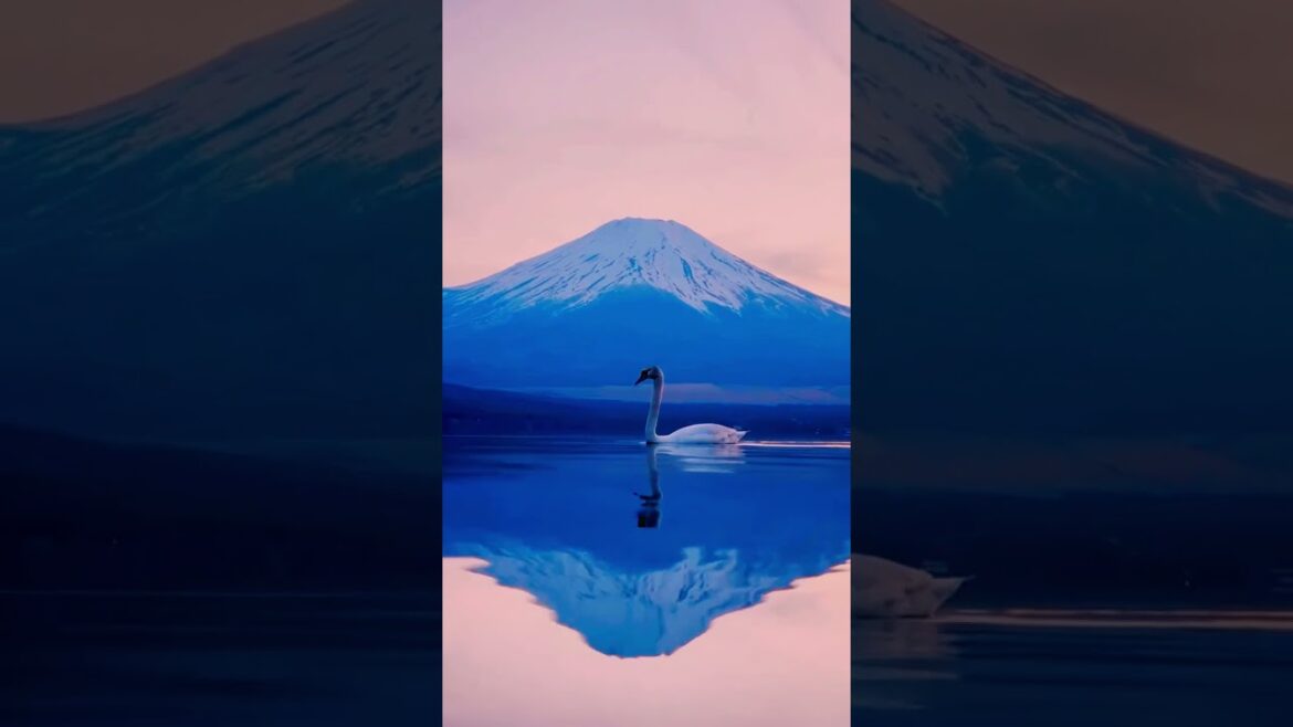 Mt. Fuji  | Japan #travel #fuji #castle