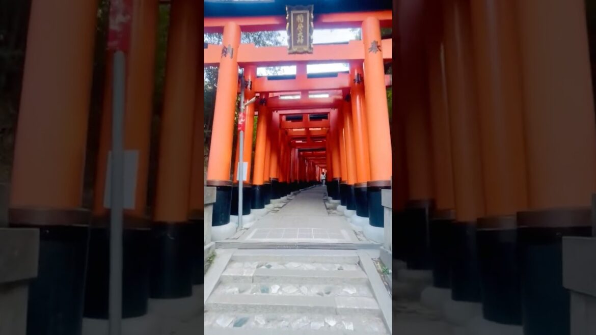 🇯🇵 Japan Greatest Hits : 10,000 Torii Gates Walk, Kyoto, Japan.