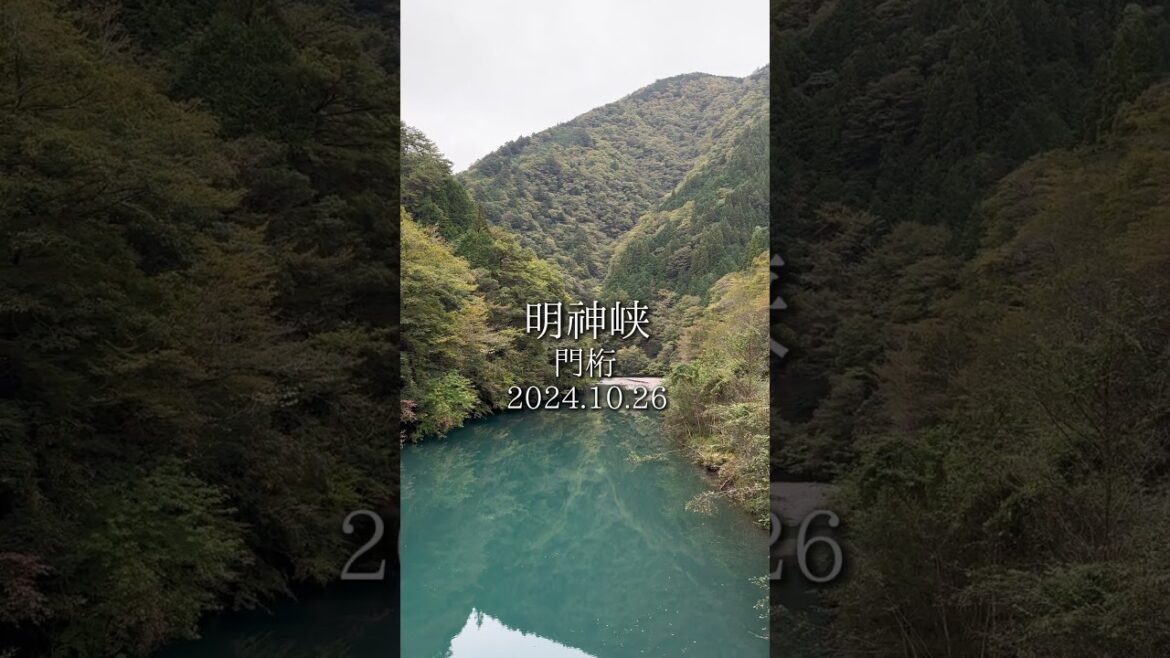 明神峡の紅葉状況（水窪町門桁）2024.10.26 z#shorts