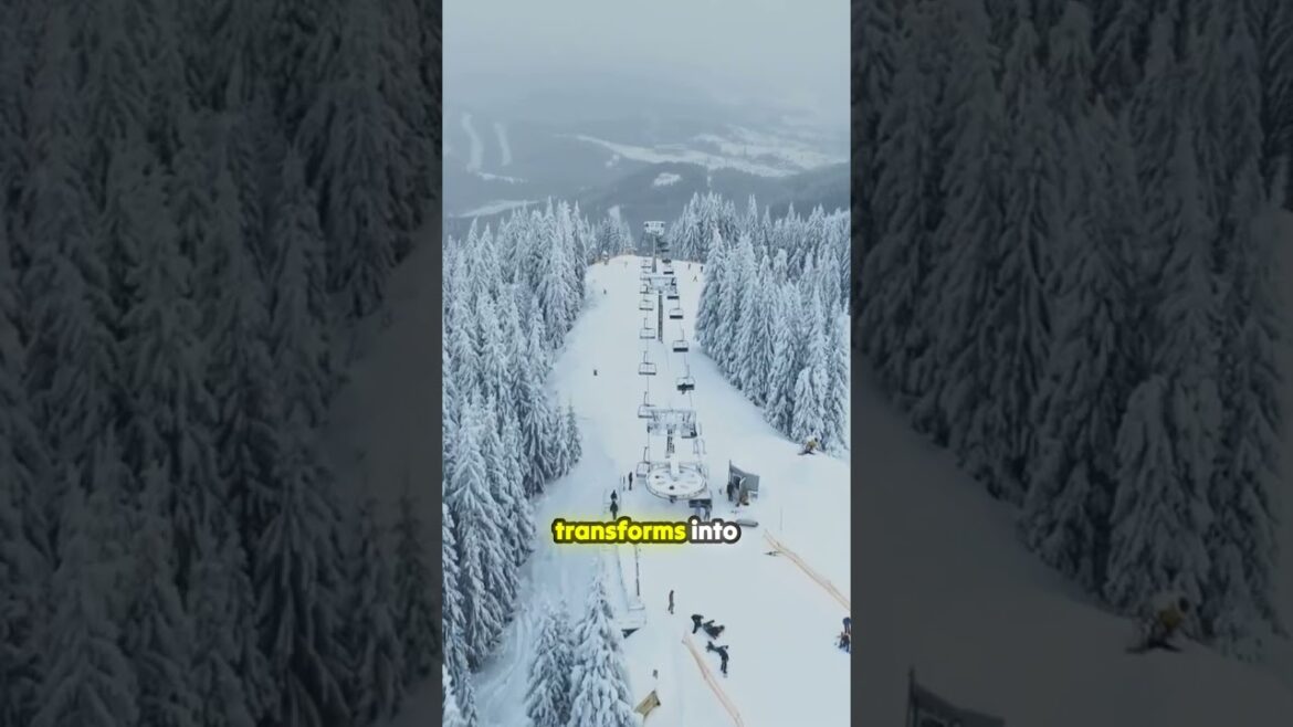 Discover Hokkaido’s Winter Magic! ❄️🏂 #japan #shorts #travel Discover Hokkaido's Winter Magic! ❄️🏂 #japan #shorts #travel