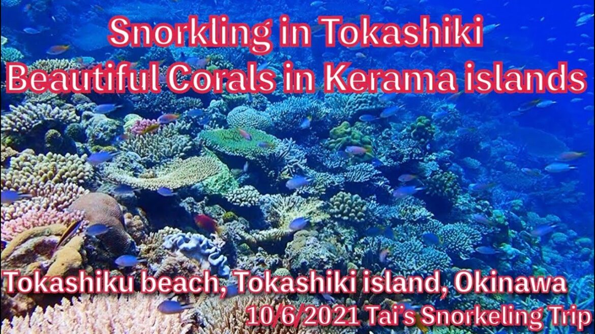 【#42 Tai’s Snorkeling Trip in Okinawa】Tokashiku beach, Tokashiki island, Okinawa, Japan