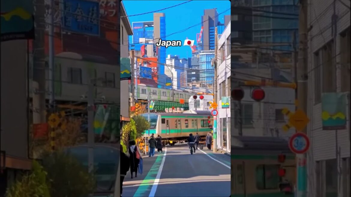 Japan Awaits! 🌸 Ready for an Adventure #shorts