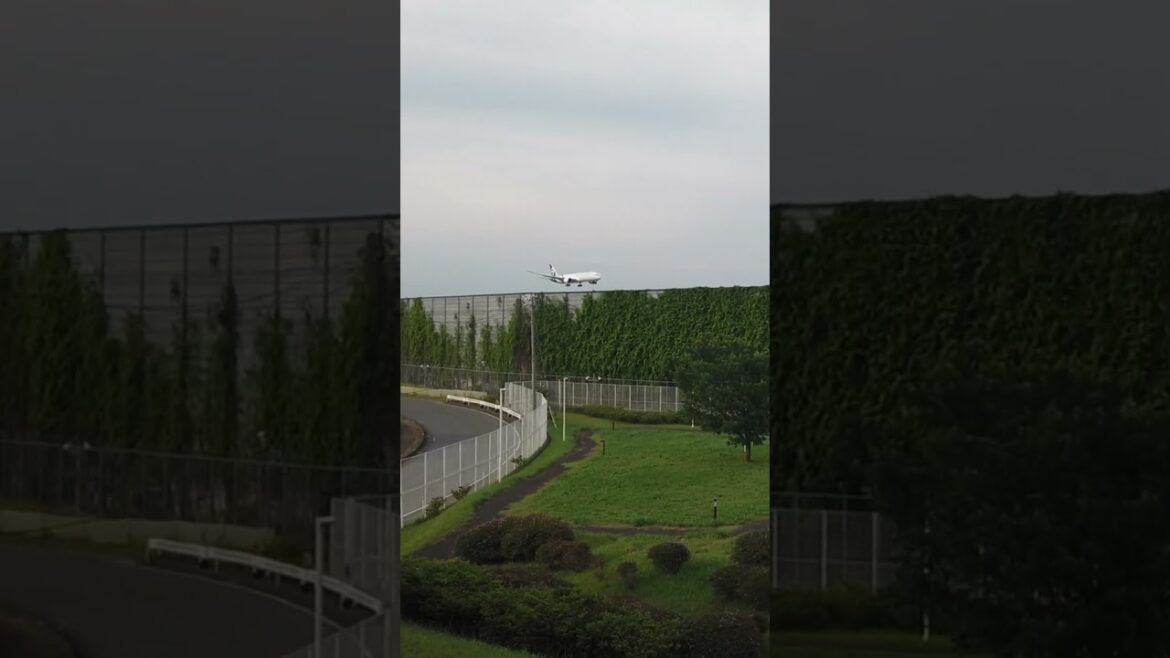 The Hill #traveljapan #chiba #airplane The Hill #traveljapan #chiba #airplane