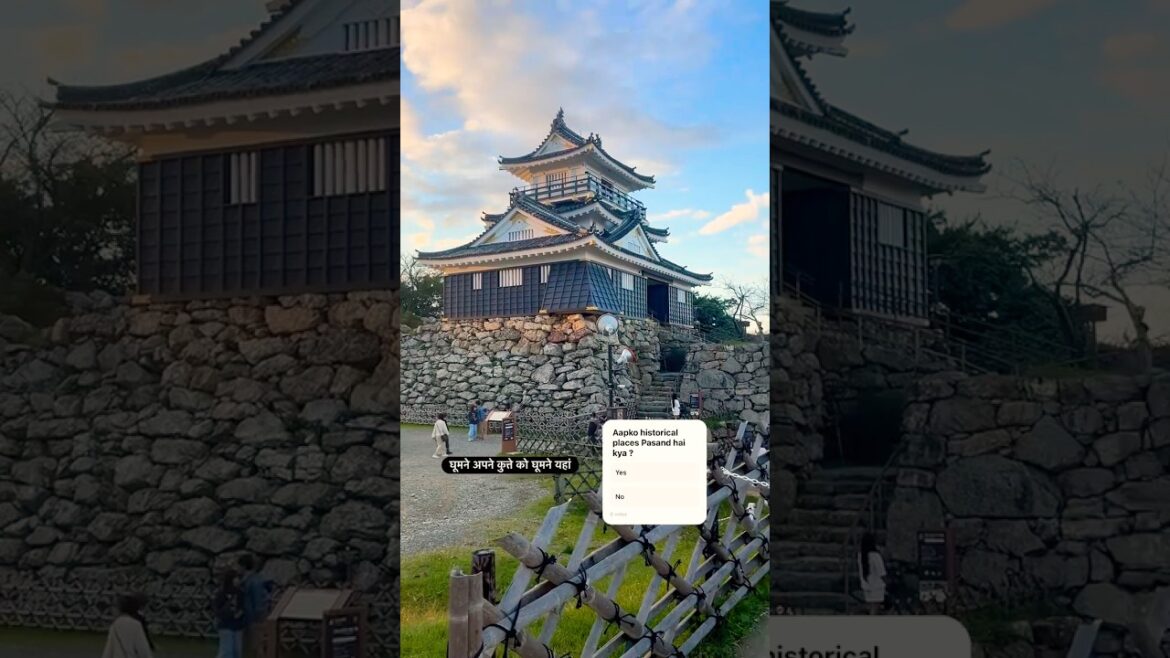 Hamamatsu Castle #japan #castle #india #history #mumbai #delhi #travel #trending #vibes #evening