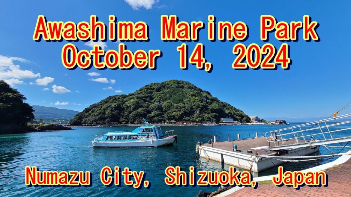 【Awashima Marin Park】Numazu City 【OCT,14,2024】