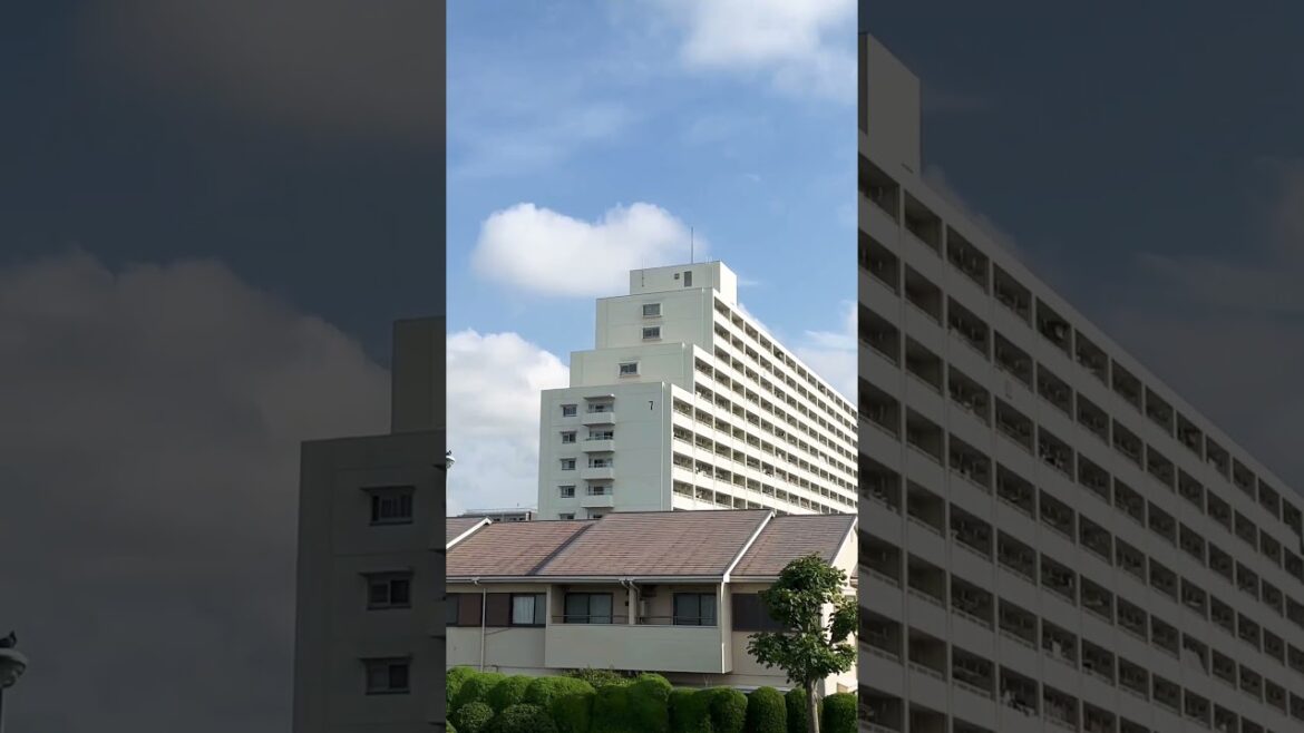 #music#beach #love #travel #edm #automobile #japanholiday#travelvideo #japantouristguide #travelblog