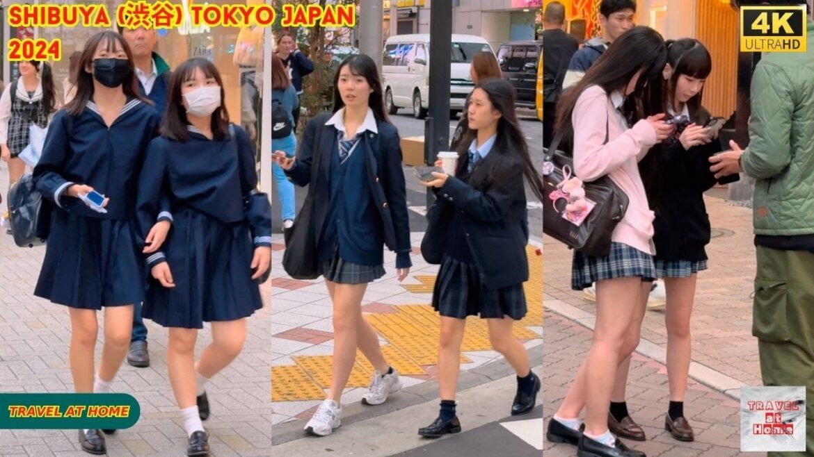 4k hdr Japan travel 2024 | Walk in Shibuya (渋谷) Tokyo Japan | Relaxing Natural City ambience 4k hdr Japan travel 2024 | Walk in Shibuya (渋谷) Tokyo Japan | Relaxing Natural City ambience