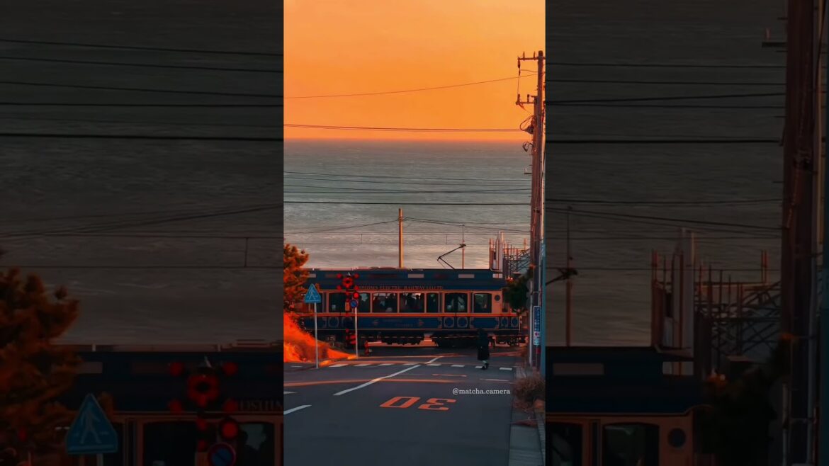 Unmissable Japan Experiences 🇯🇵 | Japan Travel Tips #japantravel #kyotojapan