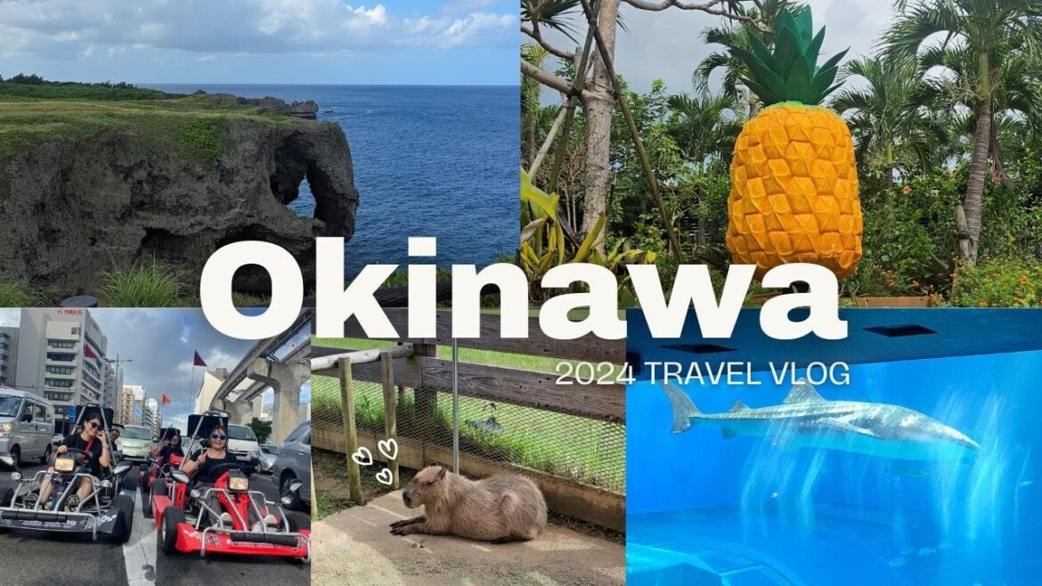10 days in Okinawa, Japan π―π΅ | Travel Vlog 2024 10 days in Okinawa, Japan π―π΅ | Travel Vlog 2024