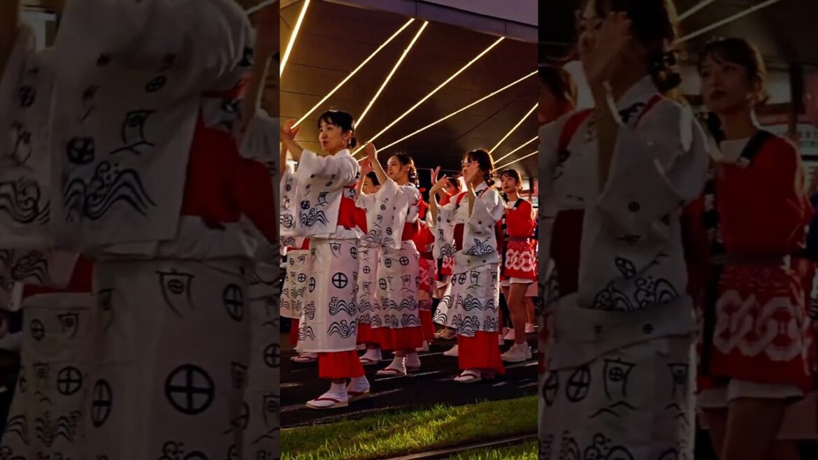 Ohara Festival (おはら祭 2024). Biggest Festival in Kagoshima, Japan. Night Parade. Ohara Festival (おはら祭 2024). Biggest Festival in Kagoshima, Japan. Night Parade.