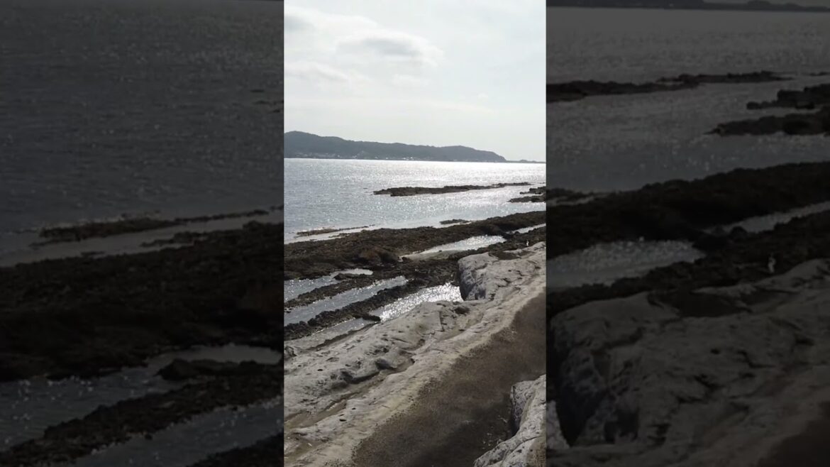 Walking on the rock formations #traveljapan #nature  #chiba