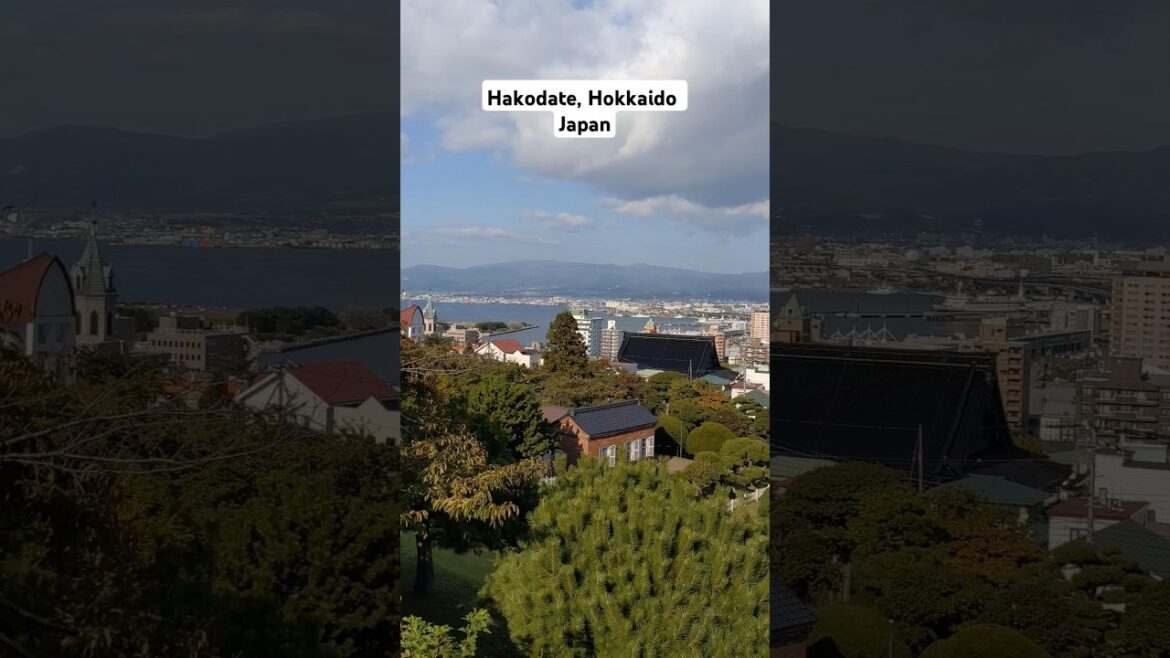#shorts Amazing Hakodate, Hokkaido, Japan #japan #hokkaido #hakodate