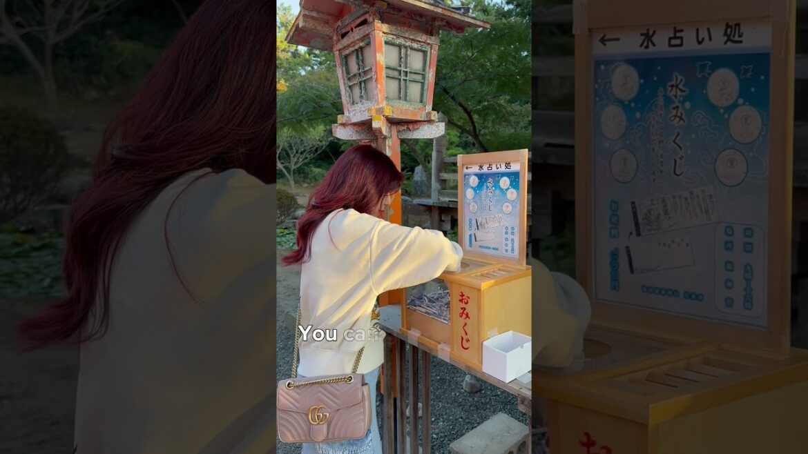 This is NOT Fushimi Inari Taisha, but Takayama Inari Jinja at Takayama, #Aomori This is NOT Fushimi Inari Taisha, but Takayama Inari Jinja at Takayama, #Aomori