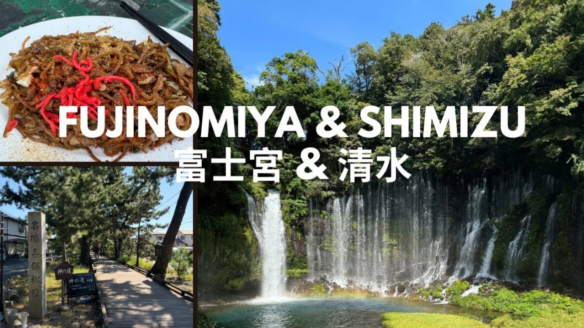 Fujinomiya & Shimizu Japan Travel 🇯🇵 | Mt Fuji Views, Waterfalls, Shrines & local food Fujinomiya & Shimizu Japan Travel 🇯🇵 | Mt Fuji Views, Waterfalls, Shrines & local food
