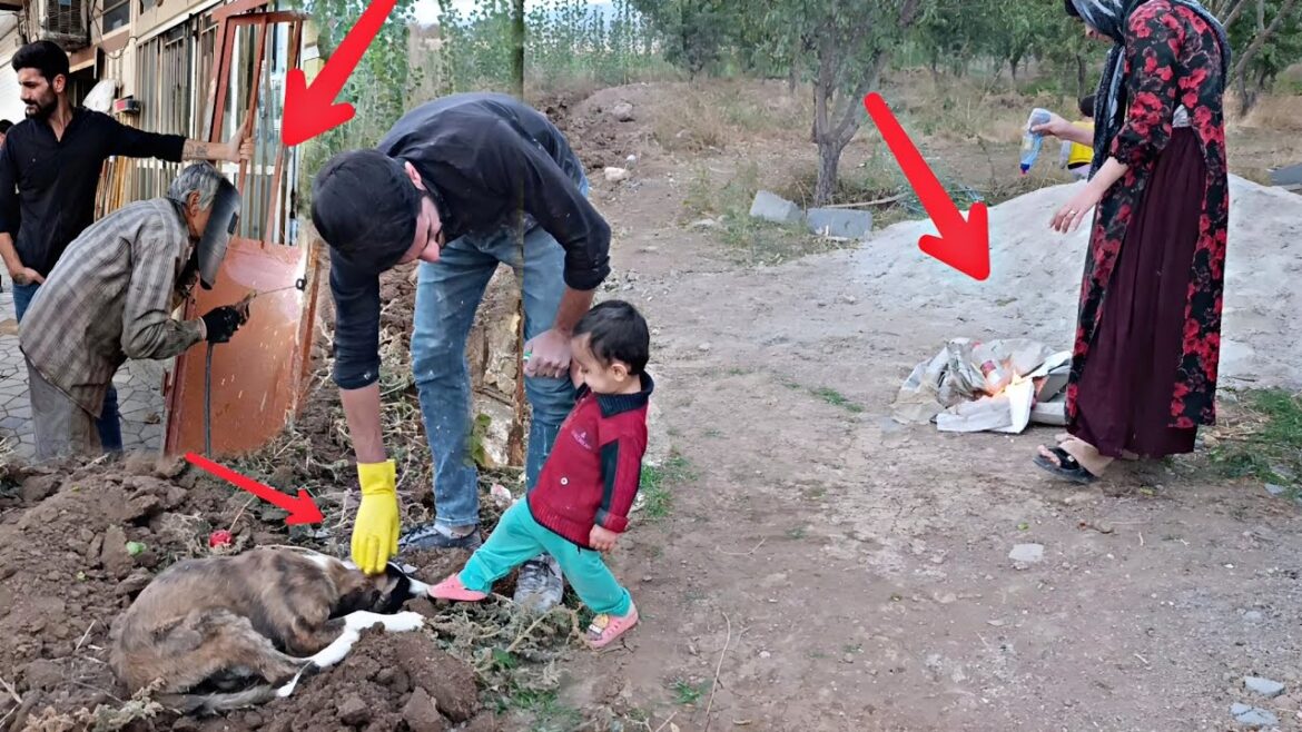 One step to the dream house! Ali works alone and non-stop 🏡🔥 ❤️