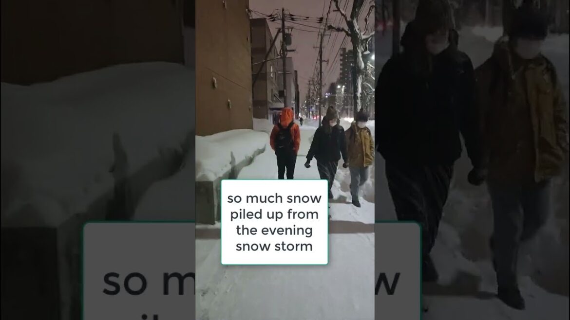 Day 5 completed | Hakodate to Sapporo | Attend Sapporo Snow Festival | Return to Hostel Day 5 completed | Hakodate to Sapporo | Attend Sapporo Snow Festival | Return to Hostel