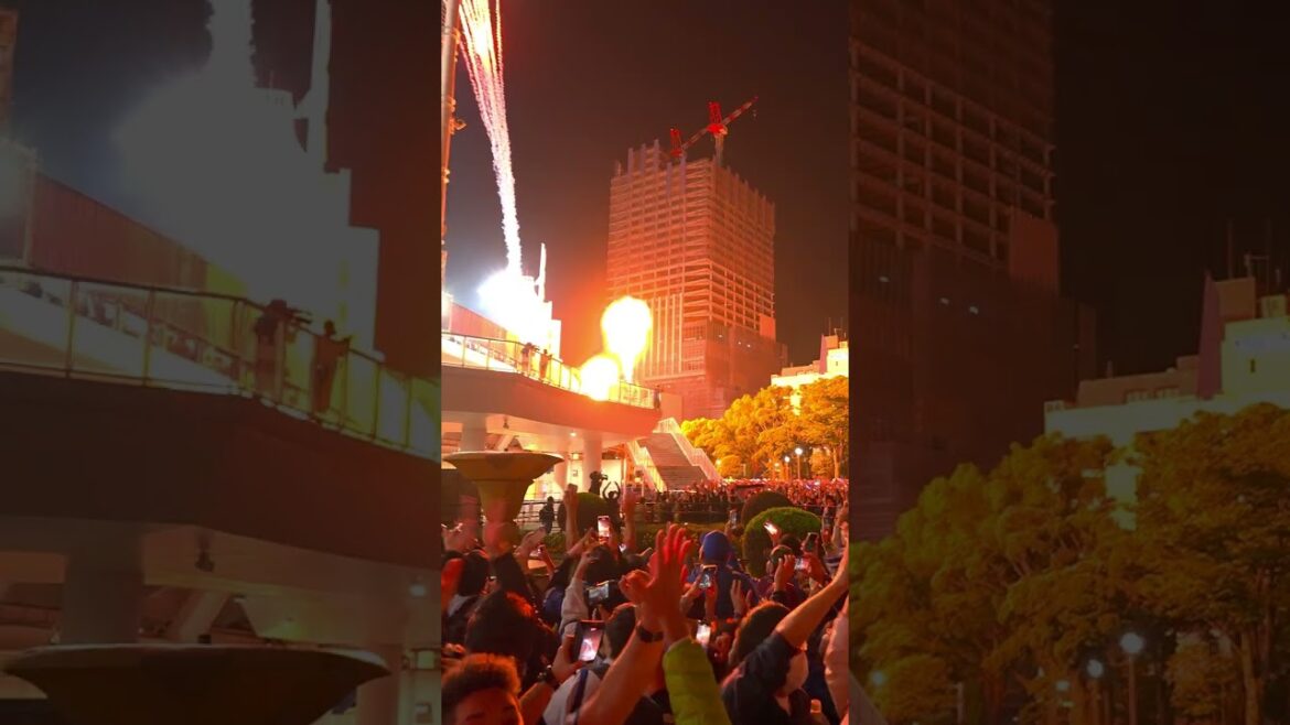 I Witnessed HISTORY as Yokohama DeNA BayStars Won SMBC Japan Series 2024! I Witnessed HISTORY as Yokohama DeNA BayStars Won SMBC Japan Series 2024!