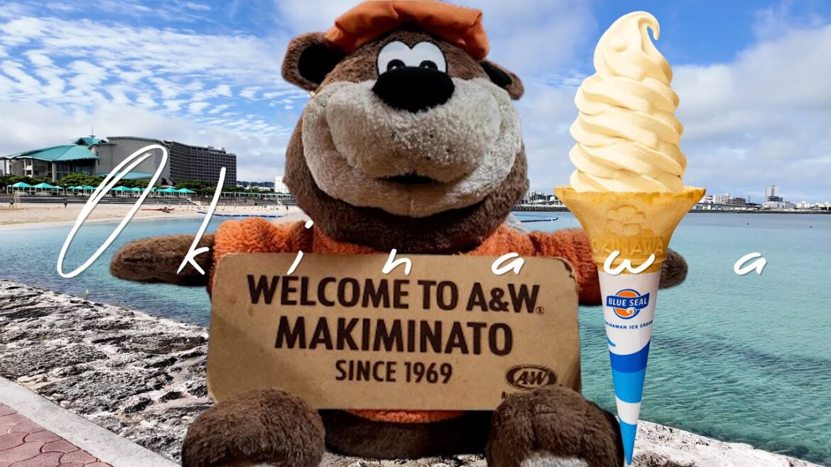 Okinawa (沖繩) Vlog Diary Travel Guide