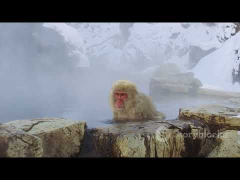 Best Tourist Destinations in Japan 2024 Best Tourist Destinations in Japan 2024